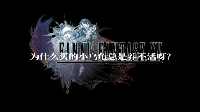 为什么买的小乌龟总是养不活呀？