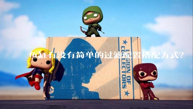 鱼缸有没有简单的过滤配置搭配方式？