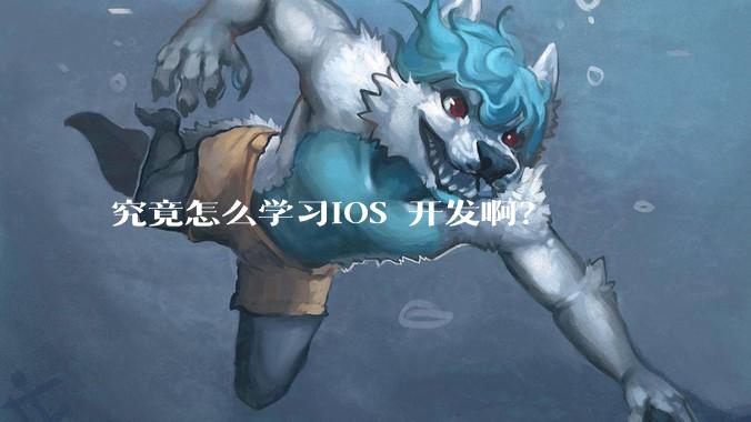 究竟怎么学习IOS 开发啊？